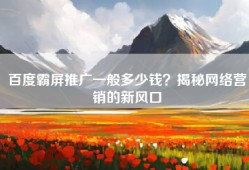 百度霸屏推广一般多少钱？揭秘网络营销的新风口