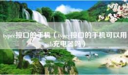 typec接口的手机（typec接口的手机可以用usb充电器吗）