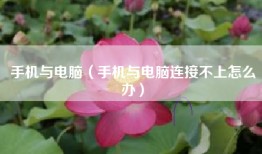 手机与电脑（手机与电脑连接不上怎么办）
