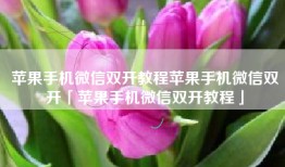 苹果手机微信双开教程苹果手机微信双开「苹果手机微信双开教程」
