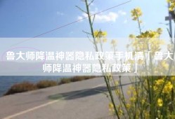 鲁大师降温神器隐私政策手机清「鲁大师降温神器隐私政策」