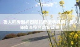 鲁大师降温神器隐私政策手机清「鲁大师降温神器隐私政策」
