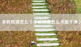 手机双清怎么（手机双清怎么才能干净）