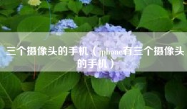 三个摄像头的手机（iphone有三个摄像头的手机）
