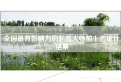 全国最有影响力的起名大师前十名统计结果