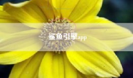 鲨鱼引擎app