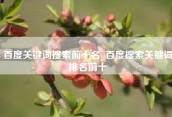 百度关键词搜索前十名_百度搜索关键词排名前十