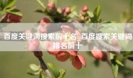 百度关键词搜索前十名_百度搜索关键词排名前十