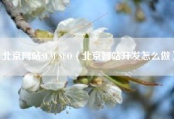 北京网站SEM SEO（北京网站开发怎么做）