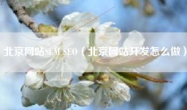 北京网站SEM SEO（北京网站开发怎么做）