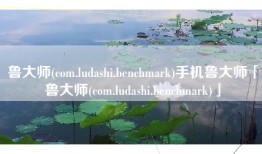 鲁大师(com.ludashi.benchmark)手机鲁大师「鲁大师(com.ludashi.benchmark)」