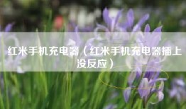 红米手机充电器（红米手机充电器插上没反应）