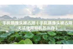 手机摄像头被占用（手机摄像头被占用无法使用相机怎么办）