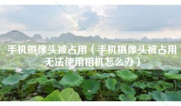手机摄像头被占用（手机摄像头被占用无法使用相机怎么办）