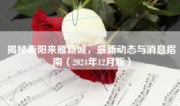 揭秘衡阳来雁新城，最新动态与消息指南（2024年12月版）