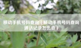 移动手机号码查询（移动手机号码查询通话记录怎么查）