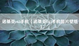 诺基亚e63手机（诺基亚E63手机图片壁纸）