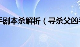 消失的凶手剧本杀解析（寻杀父凶手20年）