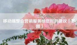 移动端整合营销服务给您好的建议「多图」