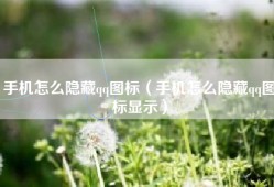 手机怎么隐藏qq图标（手机怎么隐藏qq图标显示）