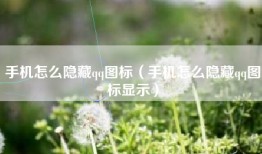 手机怎么隐藏qq图标（手机怎么隐藏qq图标显示）