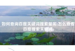 如何查询百度关键词搜索量呢(怎么查看百度搜索关键词)