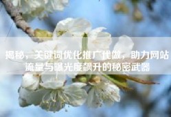 揭秘，关键词优化推广代做，助力网站流量与曝光度飙升的秘密武器