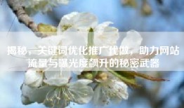 揭秘，关键词优化推广代做，助力网站流量与曝光度飙升的秘密武器