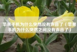 苹果手机为什么突然没有声音了（苹果手机为什么突然之间没有声音了）