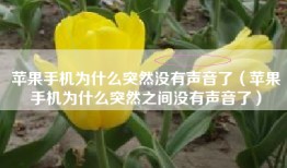 苹果手机为什么突然没有声音了（苹果手机为什么突然之间没有声音了）