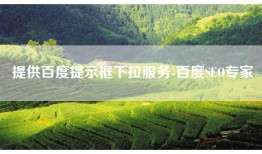 提供百度提示框下拉服务-百度SEO专家