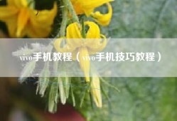 vivo手机教程（vivo手机技巧教程）