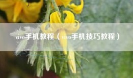 vivo手机教程（vivo手机技巧教程）
