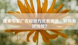 搜索引擎广告投放方式有哪些，如何有效投放？