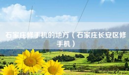 石家庄修手机的地方（石家庄长安区修手机）