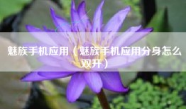 魅族手机应用（魅族手机应用分身怎么双开）