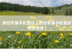 西安苹果手机售后（西安苹果手机售后电话地址）