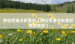 西安苹果手机售后（西安苹果手机售后电话地址）