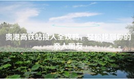 贵港高铁站接人全攻略，轻松找到你的亲人朋友