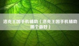 洛克王国手机辅助（洛克王国手机辅助哪个最好）