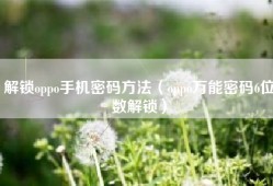 解锁oppo手机密码方法（oppo万能密码6位数解锁）