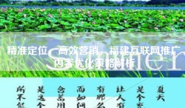 精准定位，高效营销，福建互联网推广内容优化策略解析