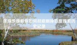 详细步骤教你如何彻底删除百度搜索历史记录