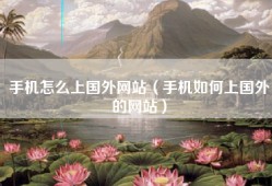 手机怎么上国外网站（手机如何上国外的网站）