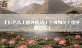 手机怎么上国外网站（手机如何上国外的网站）