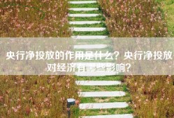 央行净投放的作用是什么？央行净投放对经济有哪些影响？