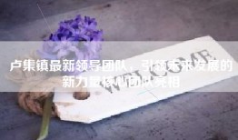 卢集镇最新领导团队，引领未来发展的新力量核心团队亮相