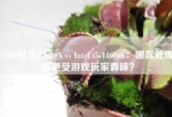 AMD锐龙5 9600X vs Intel i5-14600K：哪款处理器更受游戏玩家青睐？