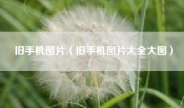旧手机图片（旧手机图片大全大图）