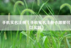 手机实名注册（手机实名注册卡哪里可以买到）